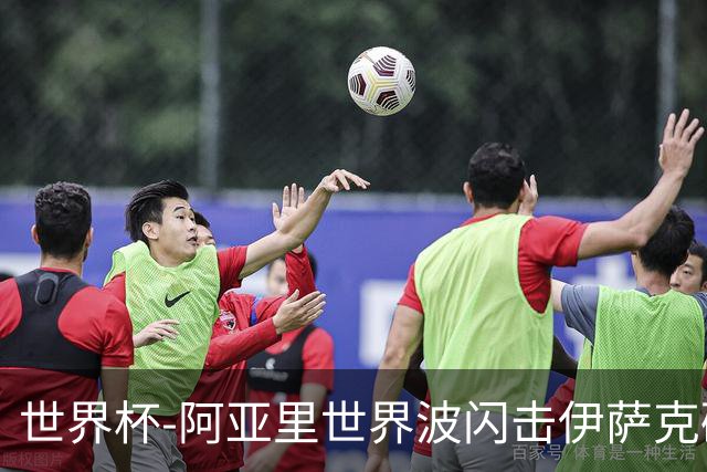 世界杯-阿亚里世界波闪击伊萨克破门 半场瑞典2-1突尼斯